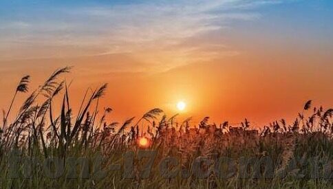 18种禁用app软件黄糖心-逐光而行，警惕18种禁用APP软件黄糖心的阴影