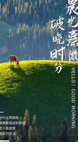 成人版短视频app-成人版短视频app，娱乐新风尚的边界探索