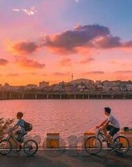 果冻传媒和麻豆网址-探索果冻传媒与麻豆网址的数字娱乐新纪元