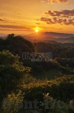 芒果大象回家视频-芒果、大象与回家的奇迹，一则温馨视频的背后故事
