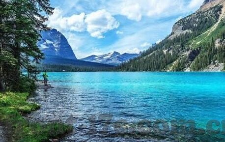 原创国产av剧情麻豆-原创国产AV剧情中的麻豆，新视觉与文化现象